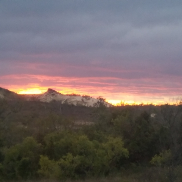 Meet your Posher, Amy - Picture 1 of 1